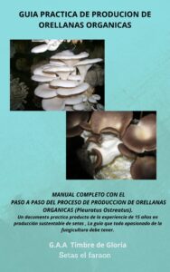E-Book produccion de Orellanas