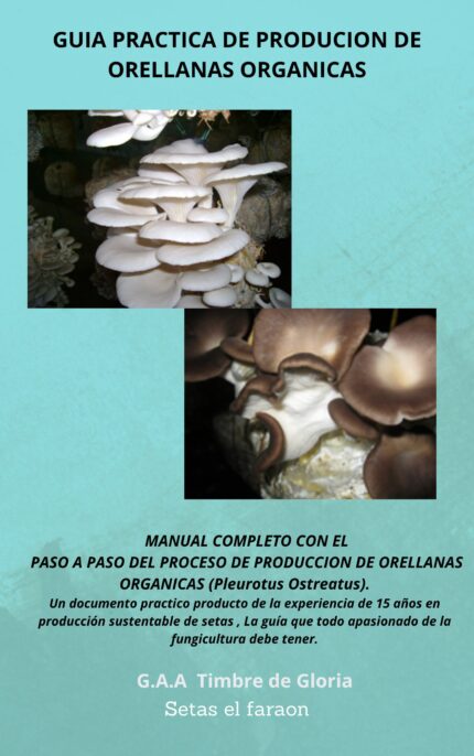 E-Book produccion de Orellanas