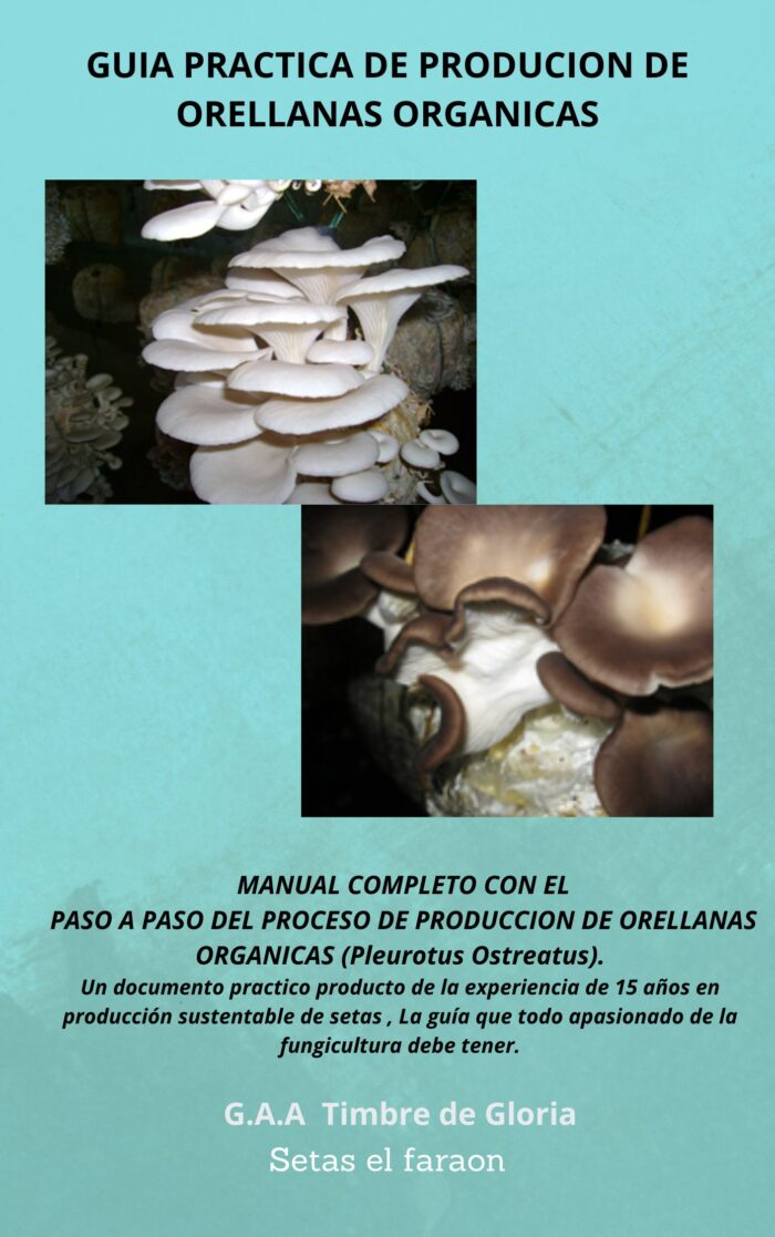 E-Book produccion de Orellanas
